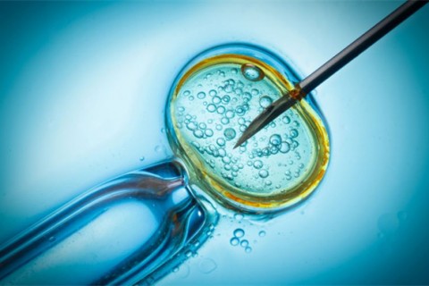 http://baoding.qqkaixin.com/post/199.html|保定供卵助孕